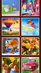 Jigsaw Puzzle Explorer screenshot 5