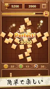 Wood Block Puzzle - Classic Brain Puzzle Game screenshot 4
