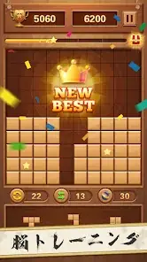 Wood Block Puzzle - Classic Brain Puzzle Game screenshot 5