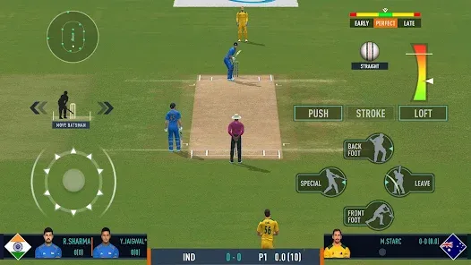 Real Cricket™ 24 screenshot 9