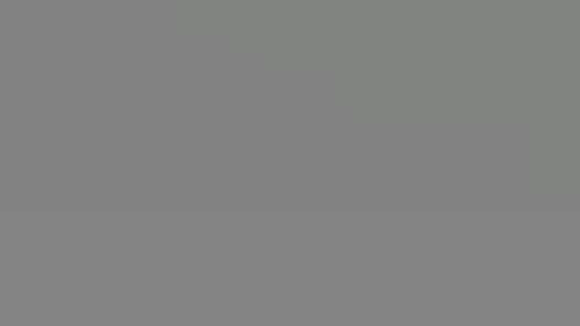 RAVEN2 screenshot 10